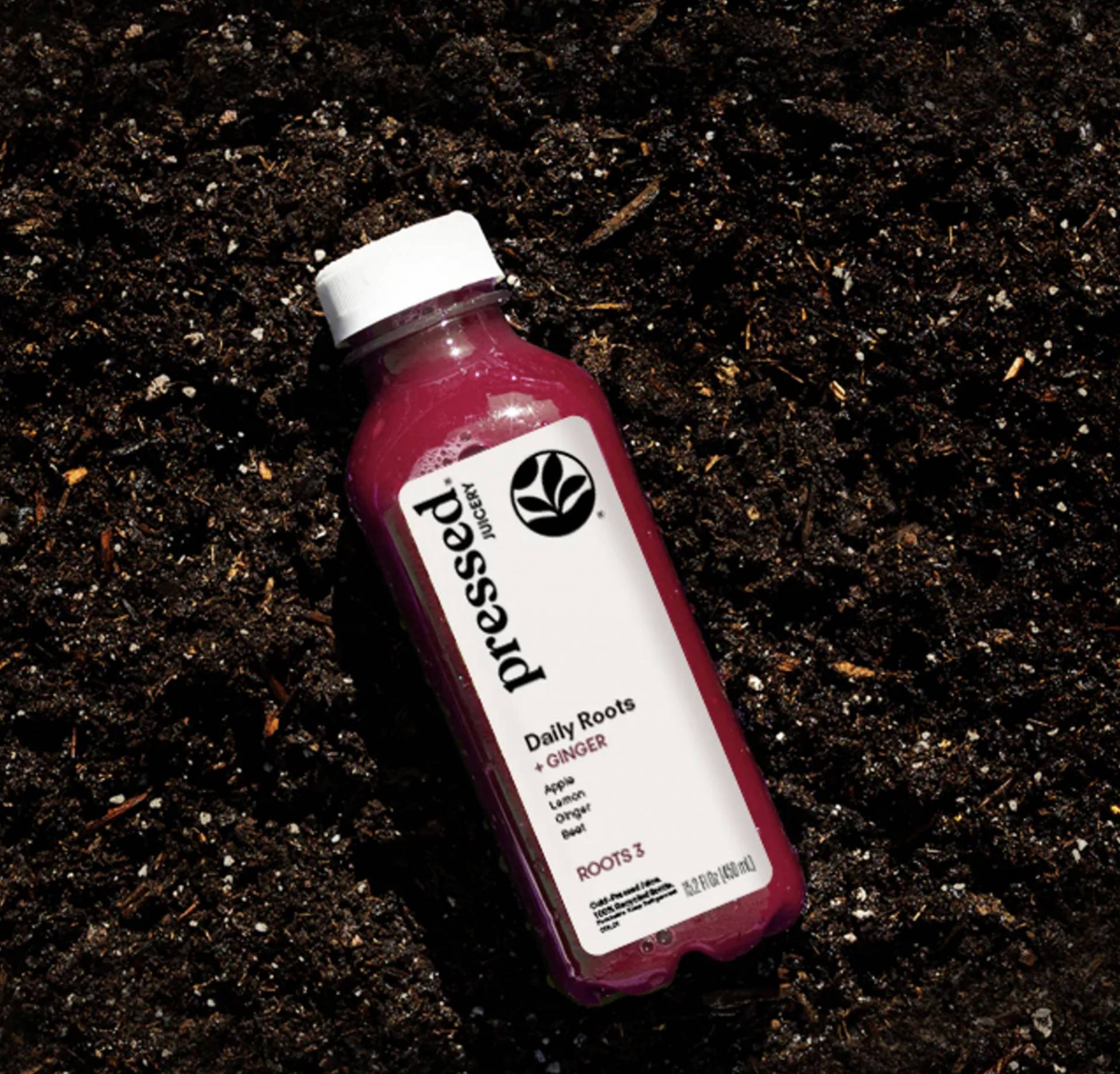 Daily Roots + Ginger